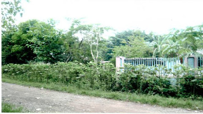 A photo of house with plants and trees